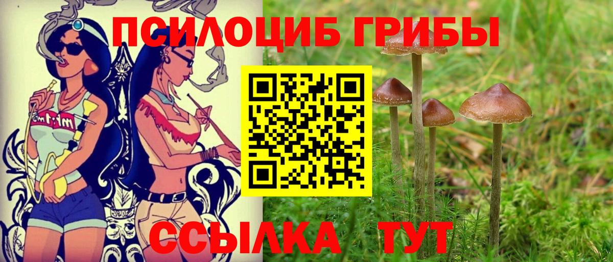 Приморско-Ахтарск  где продают   Вход с VPN  Псилоцибиновые грибы Cubensis  Псилоцибиновые грибы Magic Shrooms 
