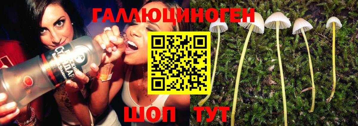 Галлюциногенные грибы ЛСД Приморско-Ахтарск